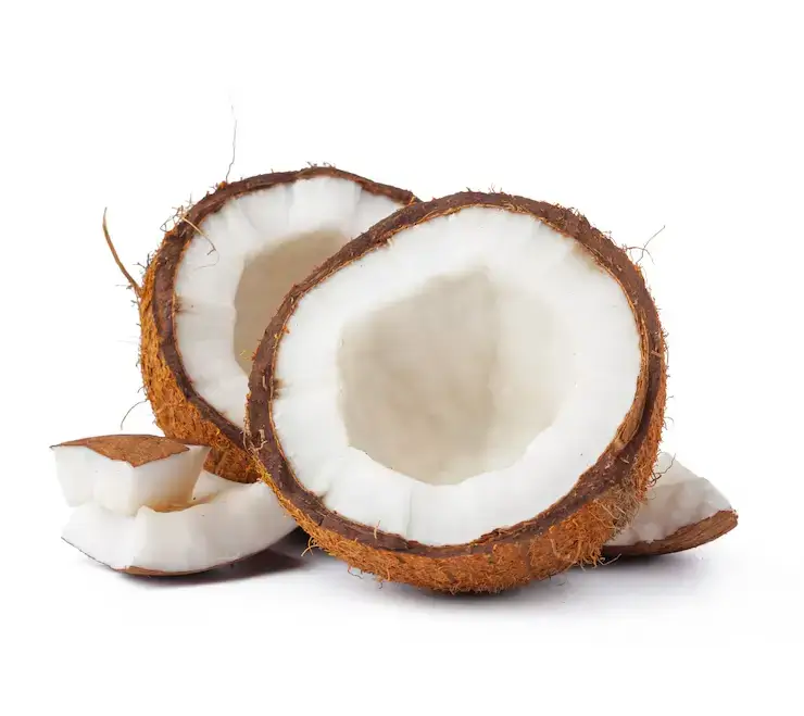 Coconute - Image 3
