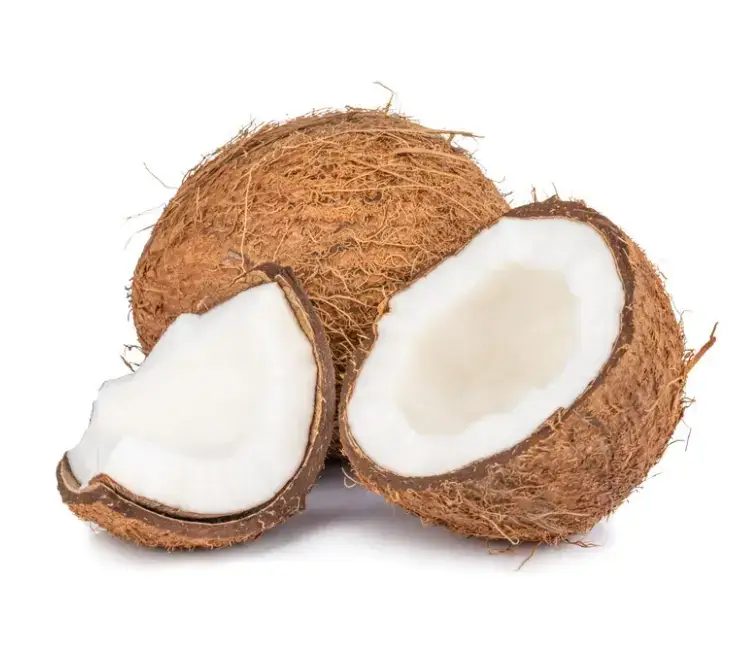 Coconute - Image 2